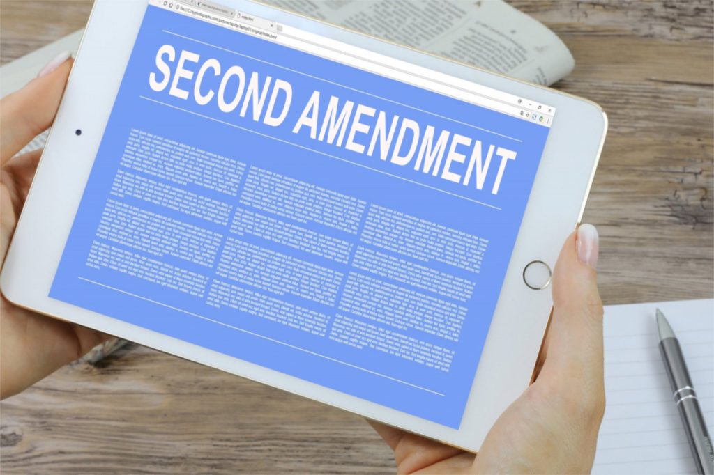 The Second Amendment – The Militia Issue 5 – Saul Roth