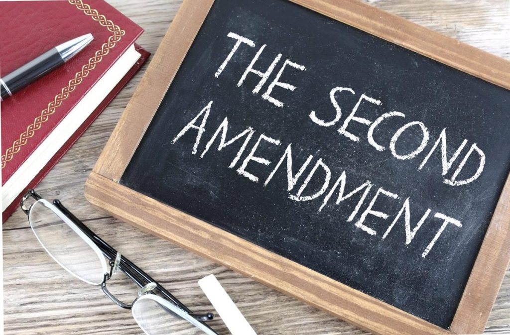 The Second Amendment – The Militia Issue 4 – Saul Roth