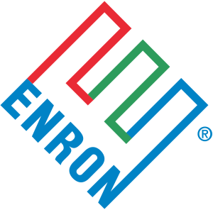 Infamous Crimes - The Enron Scandal - Saul Roth