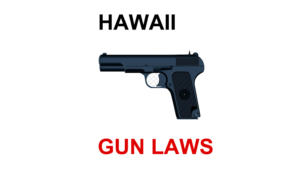 State Gun Laws - Hawaii - Saul Roth
