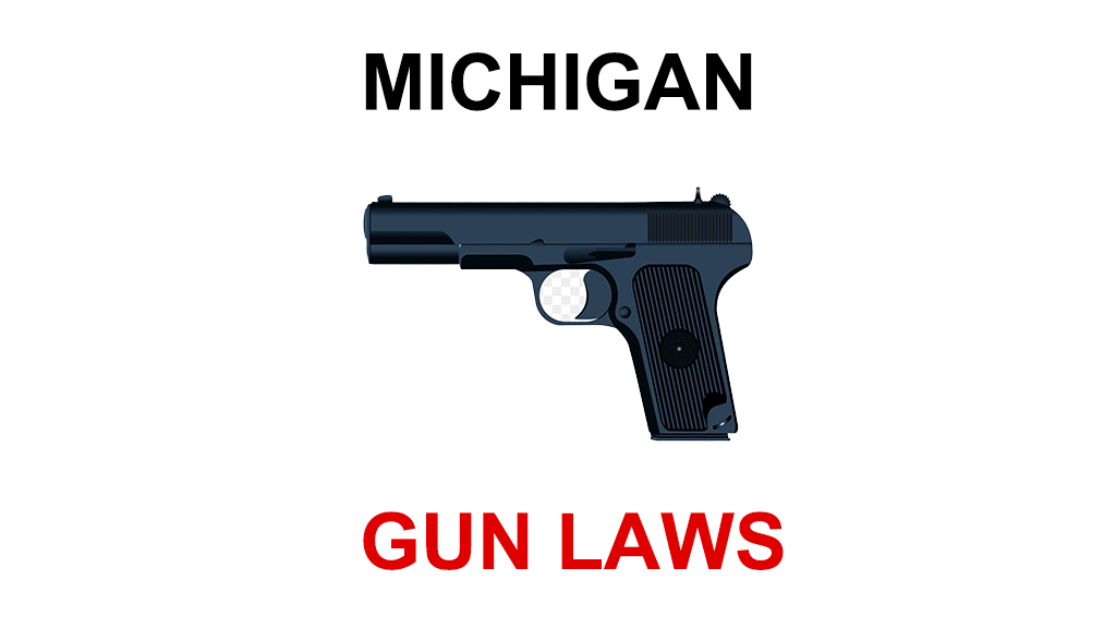 State Gun Laws - Michigan - Saul Roth