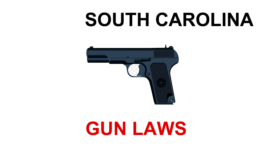 State Gun Laws - South Carolina - Saul Roth