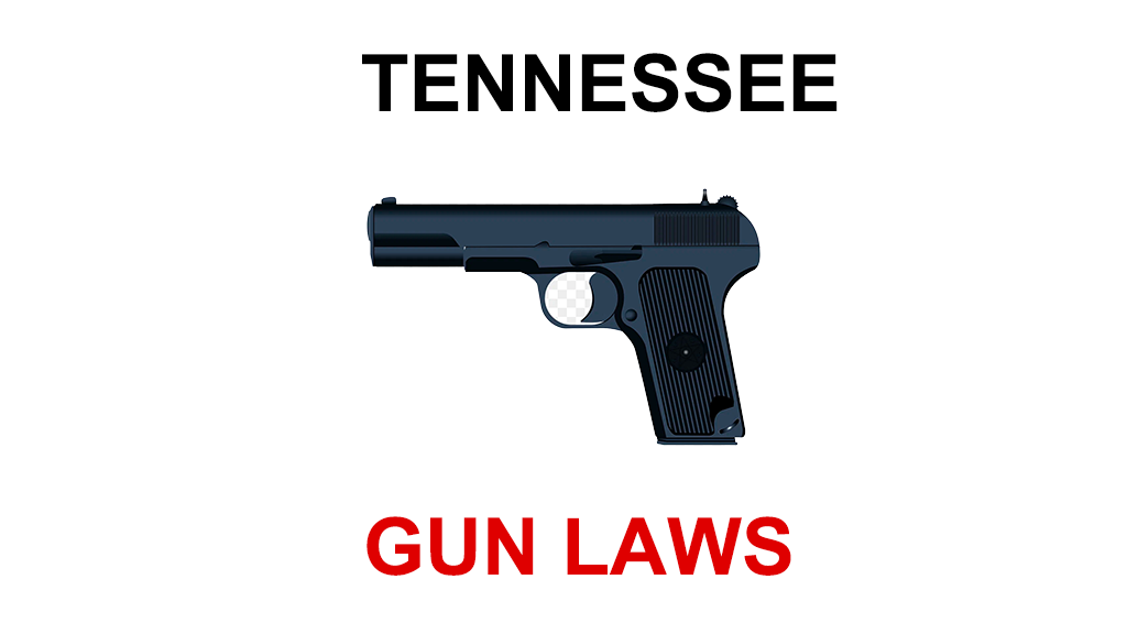 State Gun Laws - Tennessee - Saul Roth