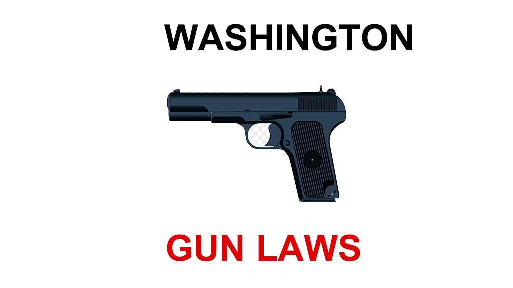 State Gun Laws - Washington - Saul Roth